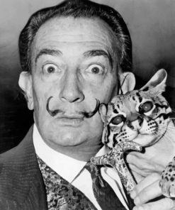 Salvador Dali With A Cat paint by numbers