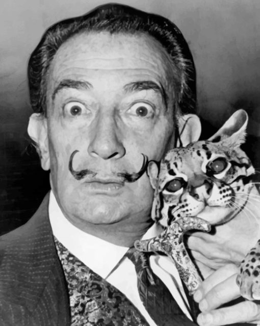 Salvador Dali With A Cat paint by numbers