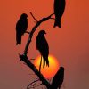 Silhouette Of Birds painting by numbers