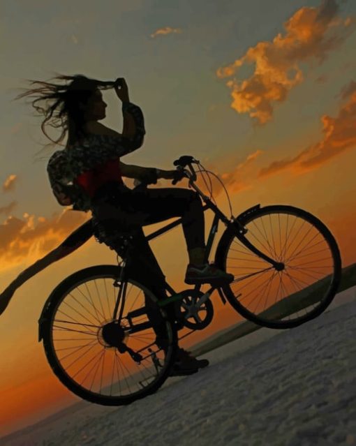 Silhouette Of Girl Riding A bike painting by numbers