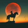 Silhouette Of Girl Riding A Horse painting by numbers