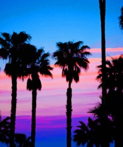 Silhouette Of Palm Trees Paint by numbers