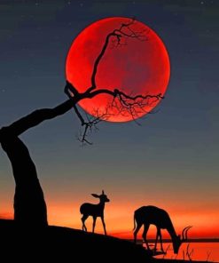 Silhouette Of Two Deers painting by numbers