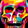 Diverse Colorful Skull paint by numbers