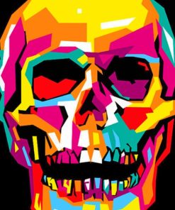 Diverse Colorful Skull paint by numbers