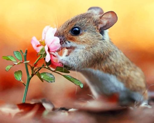 Squirrel Smelling Flower paint by numbers