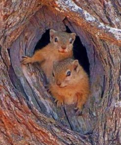 Squirrels Nest Inside Tree painting by numbers