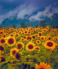 Beautiful Sun Flowers painting by numbers