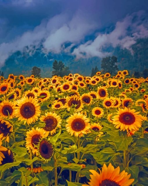 Beautiful Sun Flowers painting by numbers