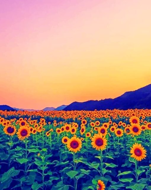 Sunset On A Sun Flowers Field paint by numbers