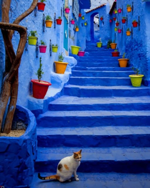 The Blue City Of Morocco painting by numbers