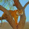 Tiger Up The Tree paint by numbers