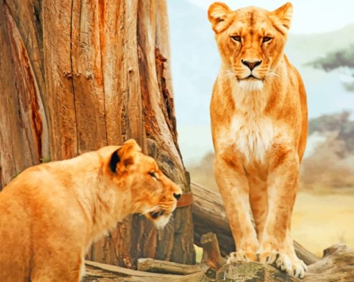 Two Lionesses And A Tree paint by numbers