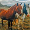 Two White And Brown Horses painting by numbers