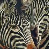 Two Zebras painting by nuumbers