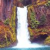 Umpqua National Forest Waterfall paint by numbers