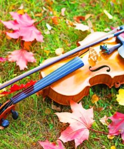 Violin With Maple Leaves painting by numbers