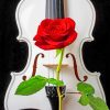 Violin With Red Rose paint by numbers