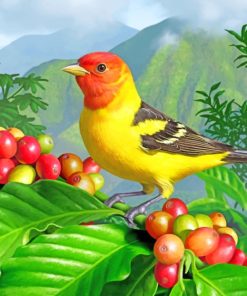 Western Tanager Bird paint by numbers