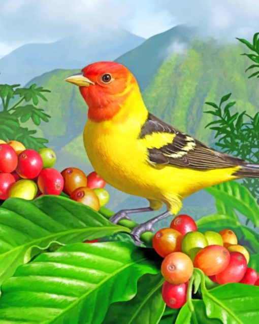 Western Tanager Bird paint by numbers