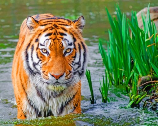 Wet Bengal Tiger paint by numbers