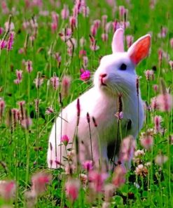 White Bunny In A Grassland paint by numbers