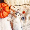 White Cat Lying Next To Pumpkin painting by numbers