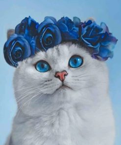 White Cat With Blue Eyes painting by numbers