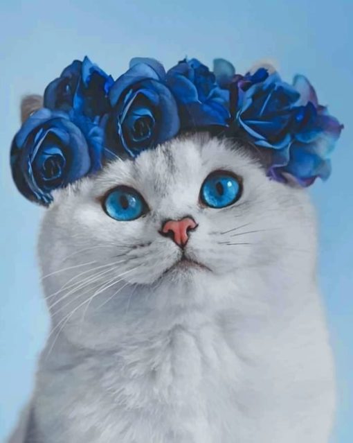 White Cat With Blue Eyes painting by numbers