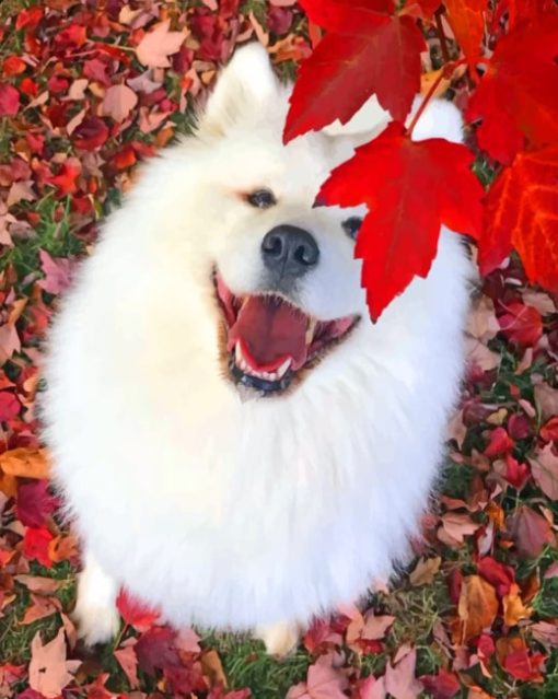 White Puppy With Red Leaves paint by numbers