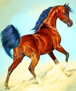 Wild Arabian Horse paint by numbers