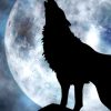 Lone Wolf Howling To The Moon painting by numbers