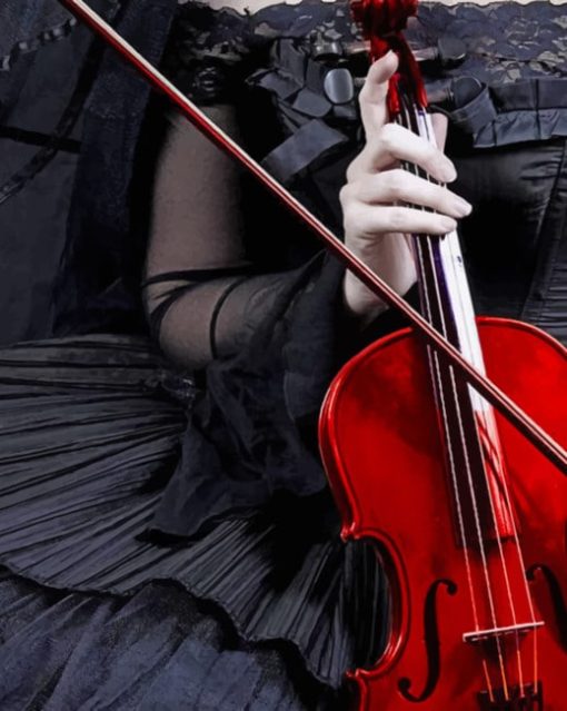 Lady Wearing Black Dress Holding Violin painting by numbers