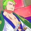 Zoro Shishi Son Son paint by numbers