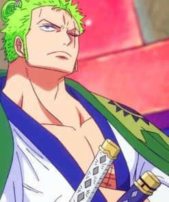 Zoro Shishi Son Son paint by numbers