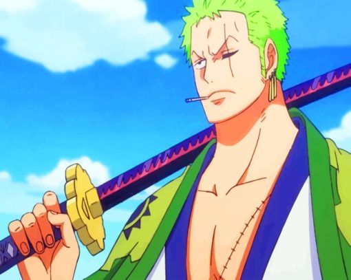Zoro One Piece Character paint by numbers