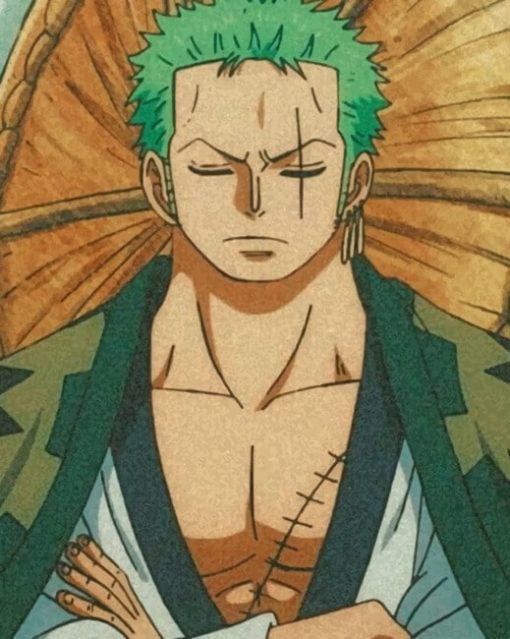 Zoro From One Peace painting by numbers