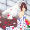 Anime Bride paint by numbers