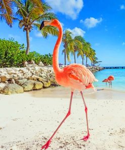 Aruba Flamingo Beach paint by numbers
