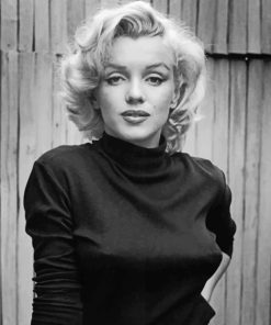 Black And White Marilyn Monroe paint By numbers