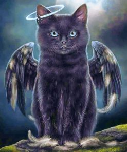 Black Angel Cat paint by numbers