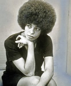 Black And White Angela Davis paint by numbers