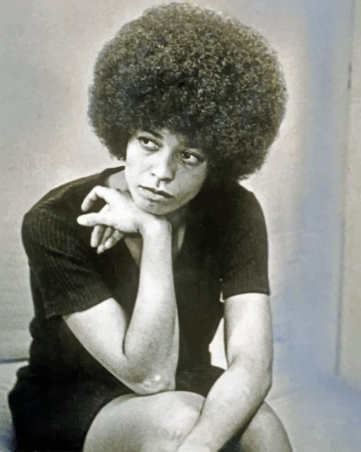 Black And White Angela Davis paint by numbers