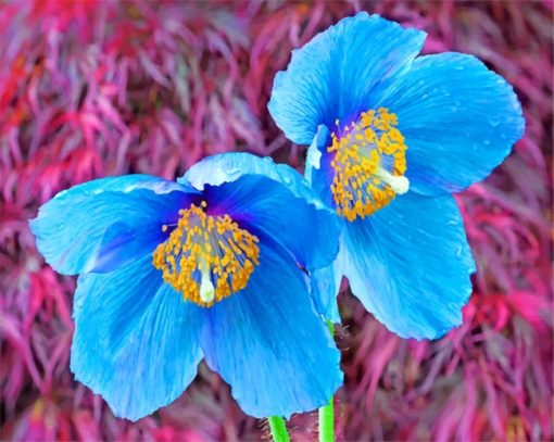 Blue Poppies paint by numbers