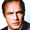 Brando paint by numbers