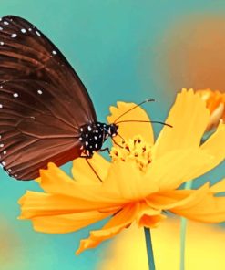 Butterfly On Orange Flower paint by numbers