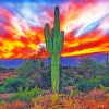 Cactus Desert paint by numbers