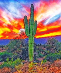 Cactus Desert paint by numbers