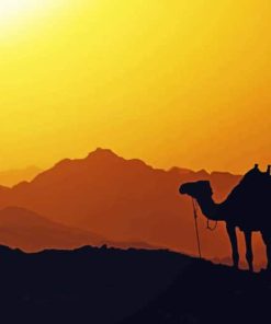 Camel Silhouette paint by numbers