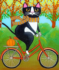 Cat On Bicycle paint by numbers